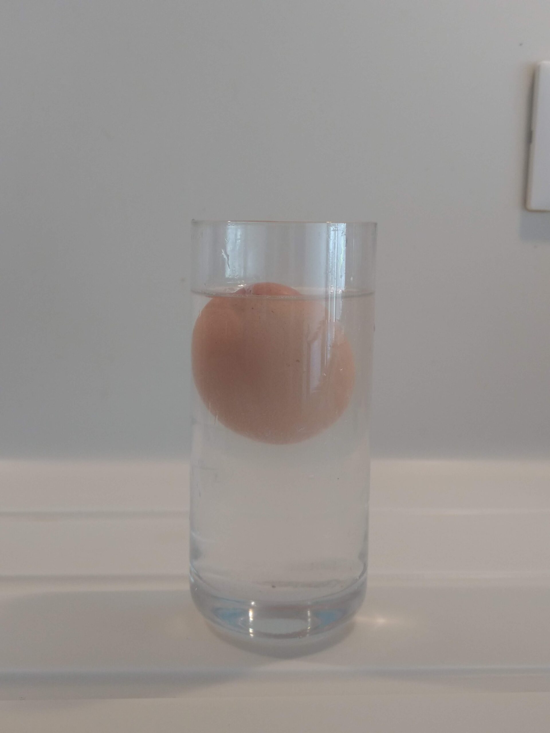 Floating Egg! - Sciencefunkids